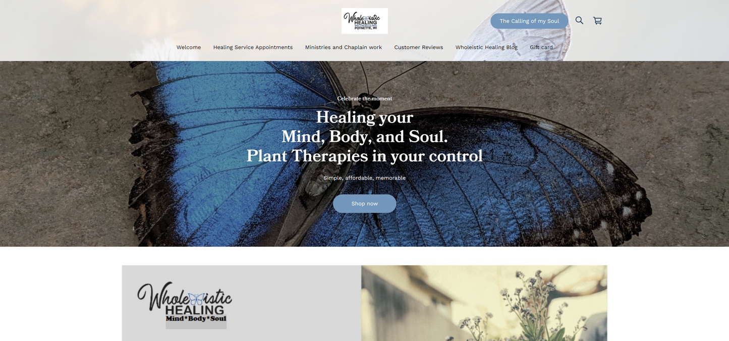 Web Design