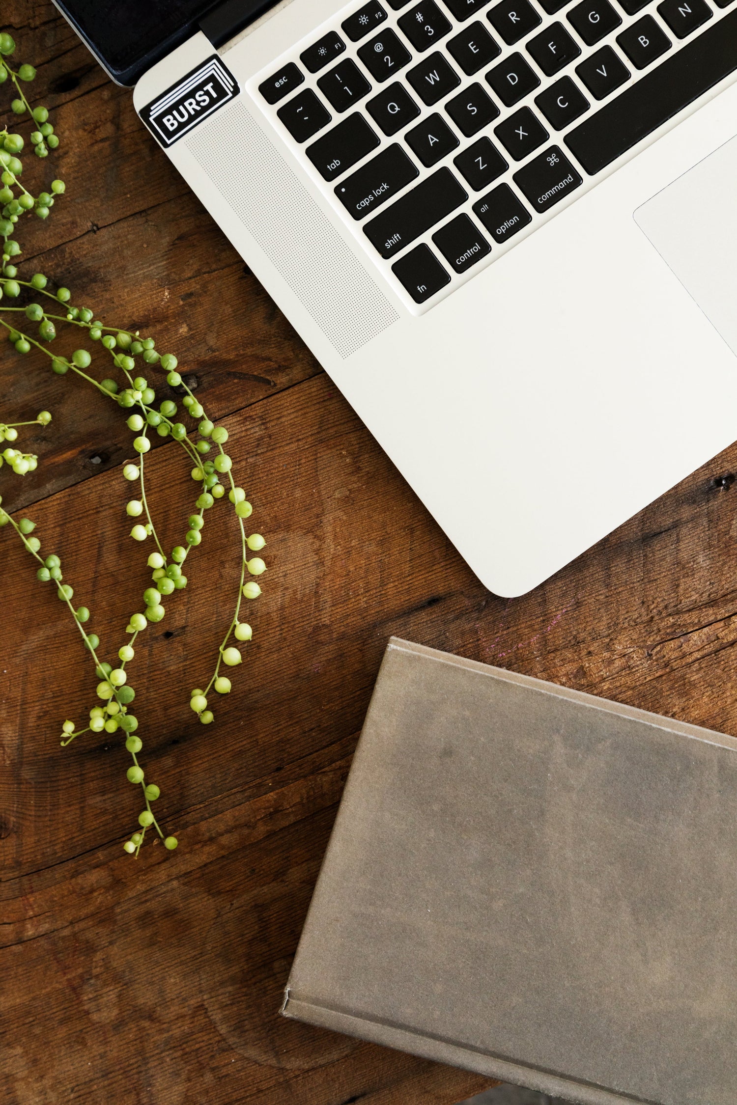 Writing Services
